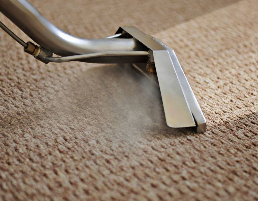 Carpet Cleaning Service Pic